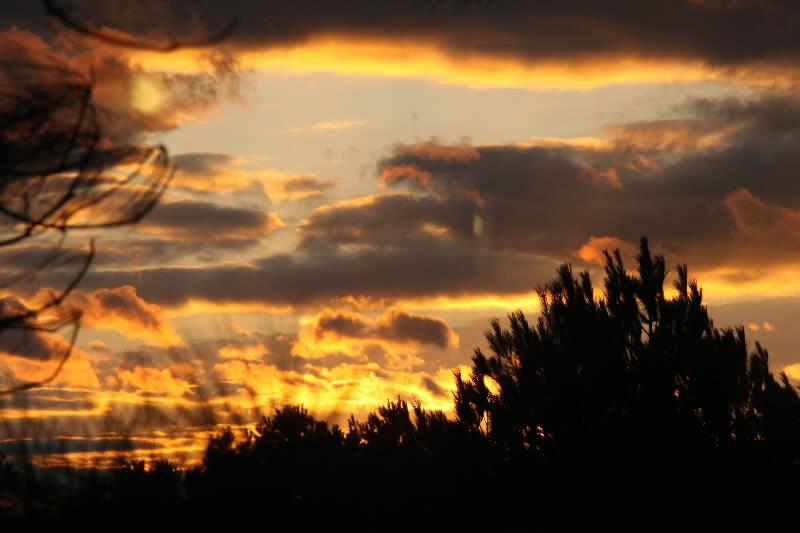 this sunset was taken from my back window on Monday evening the 22nd